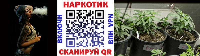 Цена Ленск Канабис  Мефедрон 