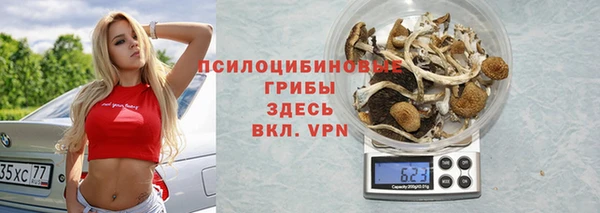мет Ладушкин
