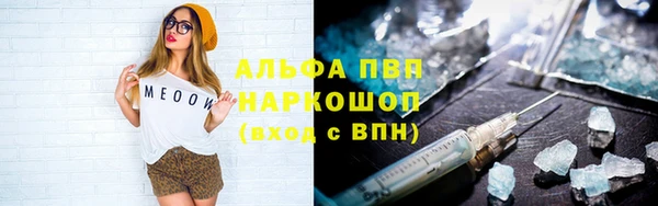 мет Ладушкин