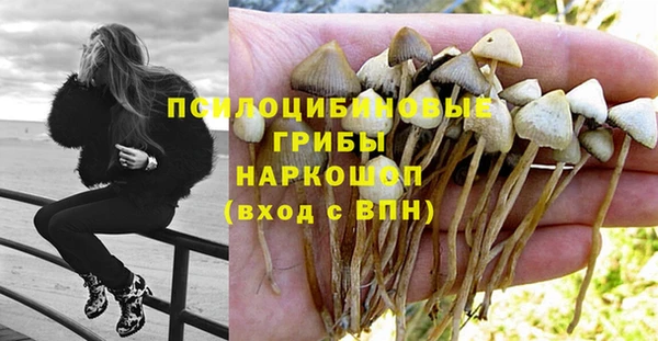 МДПВ Лагань