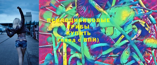 МДПВ Лагань