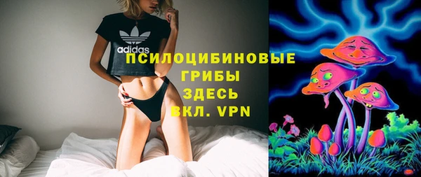 мет Ладушкин