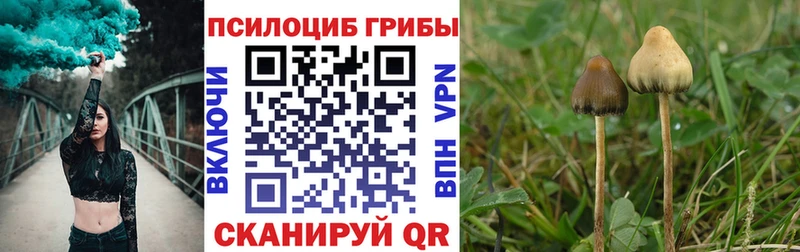 hydra ссылка  Ленск  Галлюциногенные грибы прущие грибы 